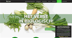 Desktop Screenshot of kievitamines.nl